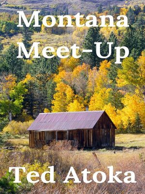 cover image of Montana Meetup